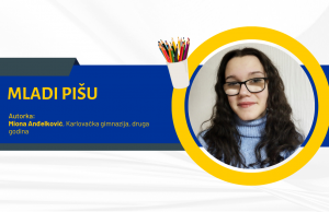 Evropa ima mnogo toga da ponudi učenicima i studentima