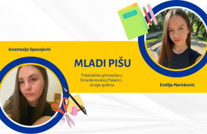 Mišljenje srednjoškolaca o uvođenju inostranih fakulteta u Srbiju